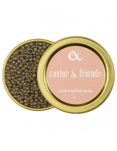 Caviar & Friends Peach: Ossetra Hybrid 50gr